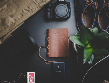 Flatlay featuring travel essentials including a camera, notebook, smartphone, and plant on a dark surface.